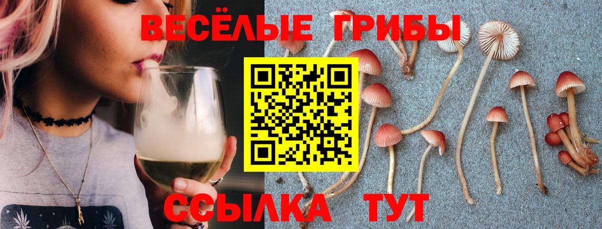 Галлюциногенные грибы GOLDEN TEACHER  Псилоцибиновые грибы Psilocybe  Вход с VPN  Георгиевск 