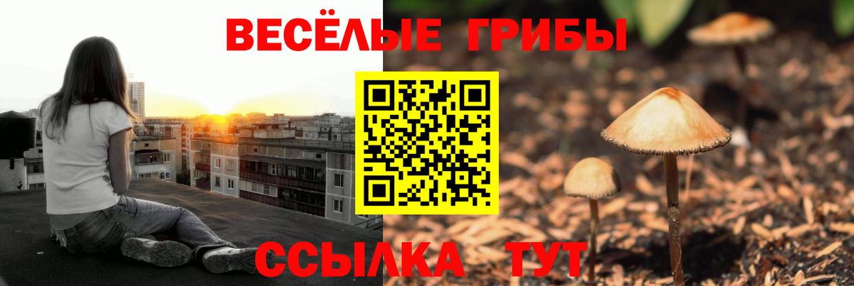 Псилоцибиновые грибы Psilocybine cubensis Георгиевск